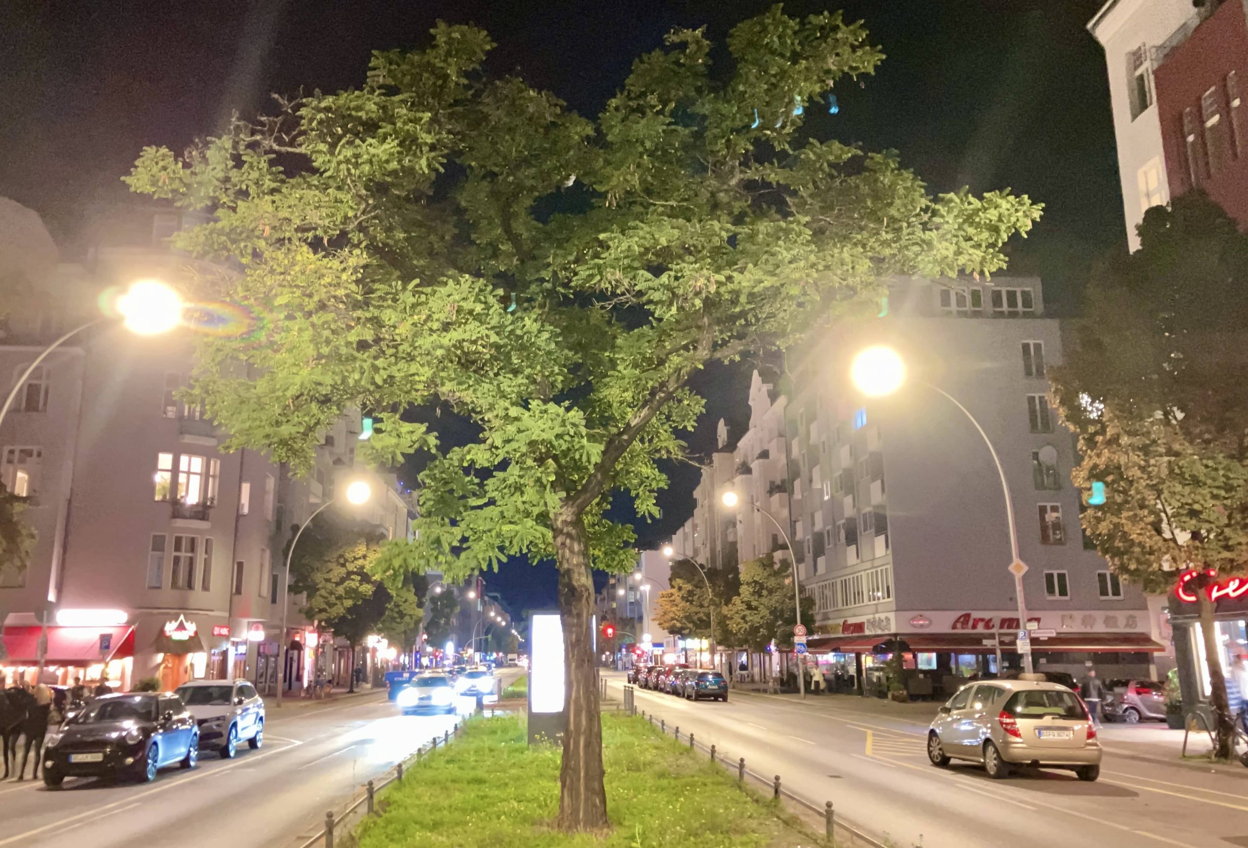 Baum auf der Kantstraße.