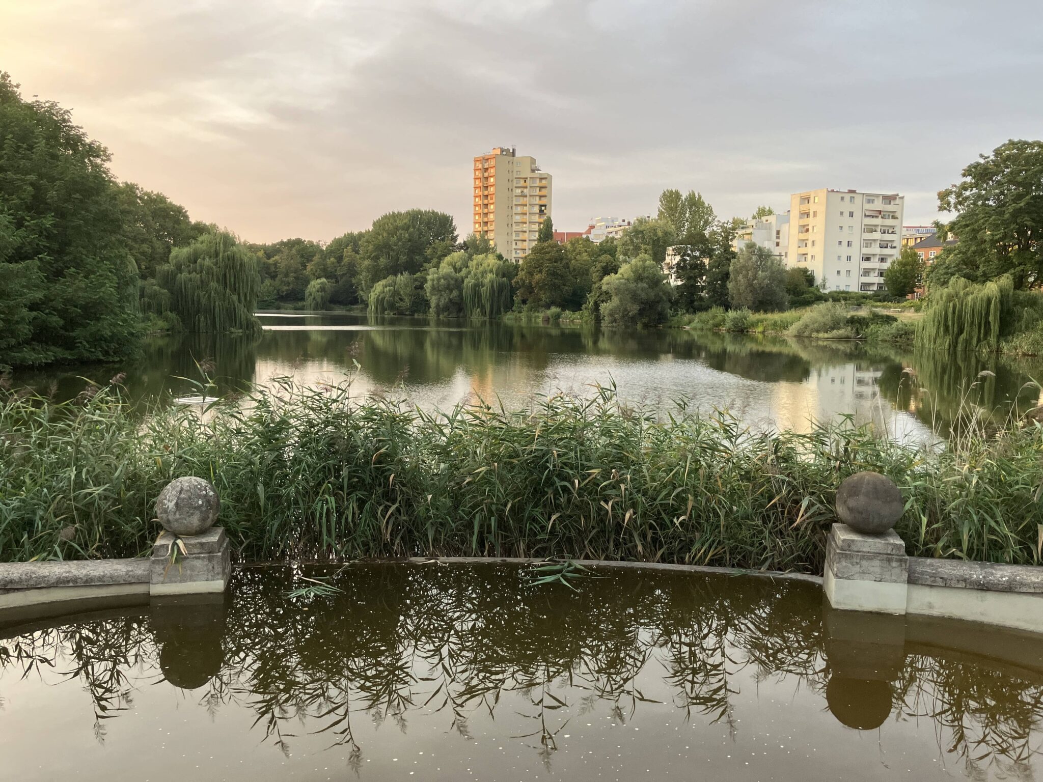 Der südliche Lietzensee im Abendlicht.