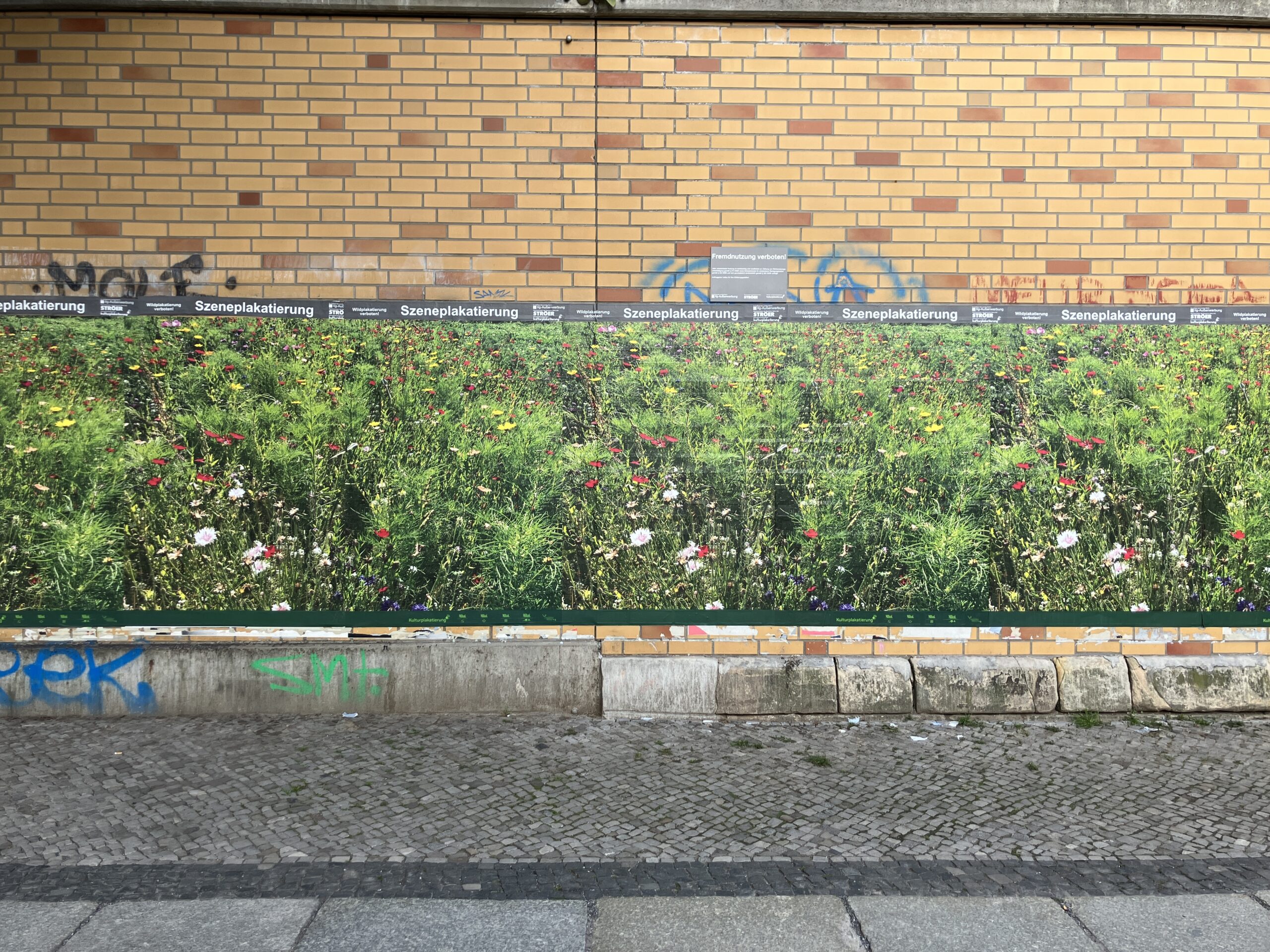 Plakat „Blühende Wiese“, Holtzendorffstraße